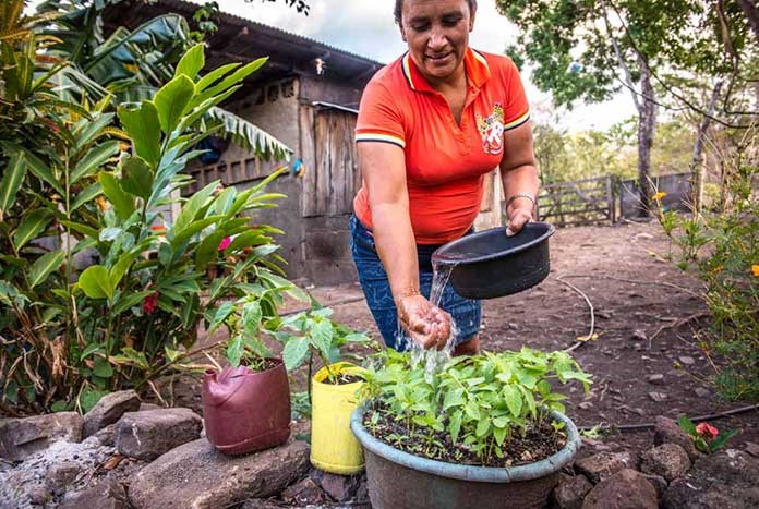 A women from El Pochotal in rural Nicaragua tends to her plants.