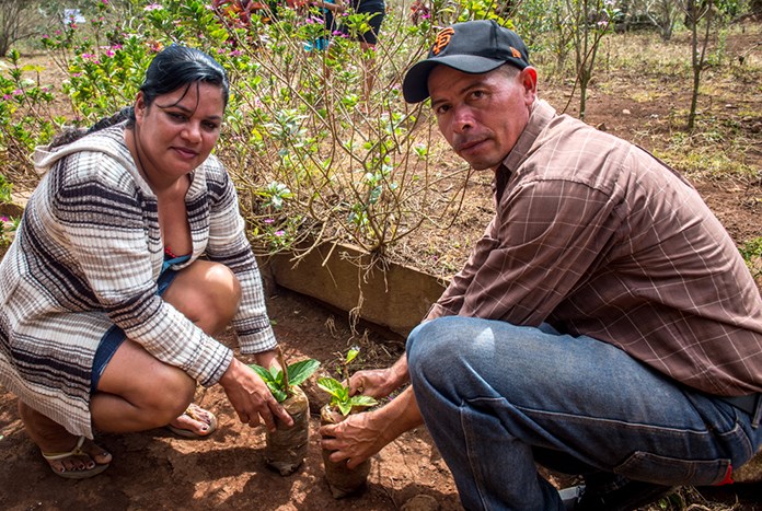A Nicaraguan woman and man tending to their crops.