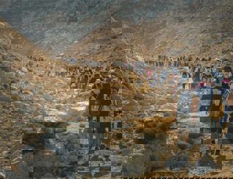 Film: Just Walk to Jerusalem