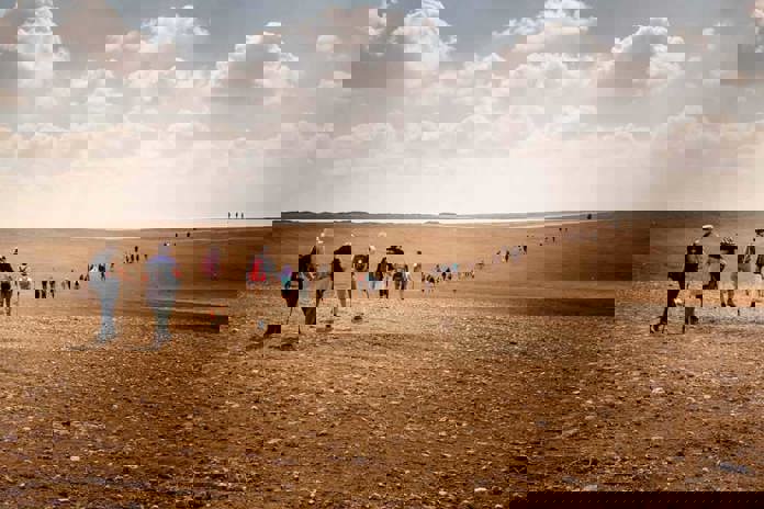 The final stage Just Walkers, snaking their way across the Negev Desert in Israel.