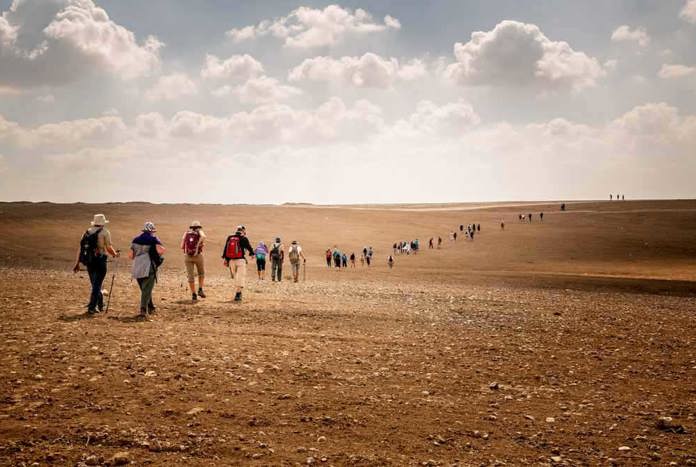 Just Walk to Jerusalem 2017