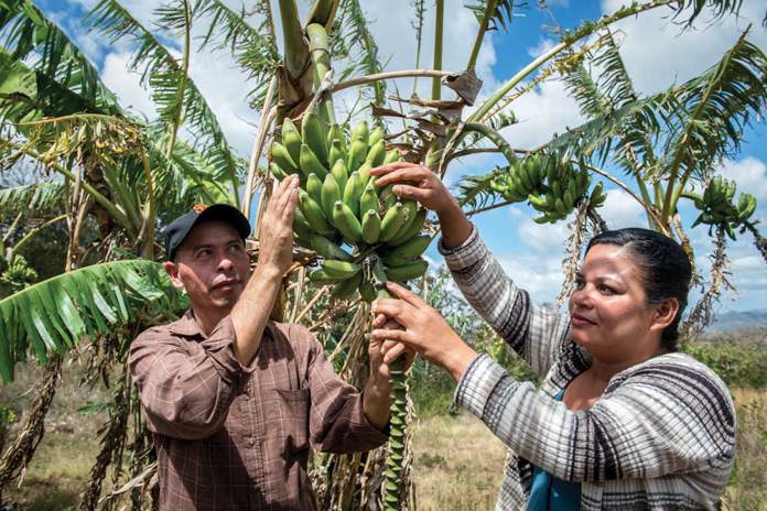 Secorro and her husband Isabel – residents of Teustepe, Nicaragua