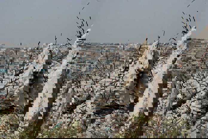 A demolished home in the Occupied West Bank.
