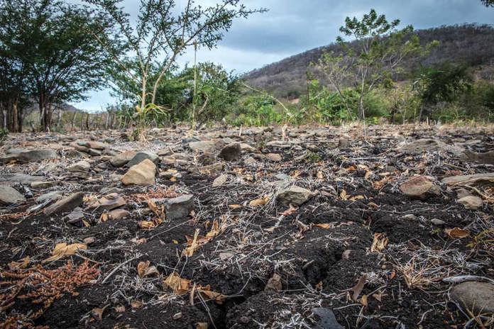 A field of failing crops in rural Nicaragua.