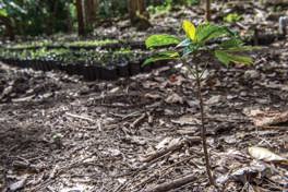 Climate Justice and Nicaragua