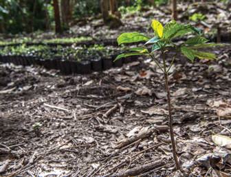 Climate Justice and Nicaragua