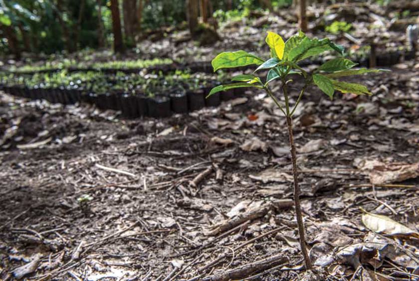 Climate Justice and Nicaragua