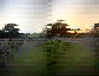 “It Says Palestine!”