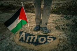 Vision For Peace
