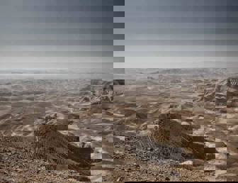 Joint Annexation Statement