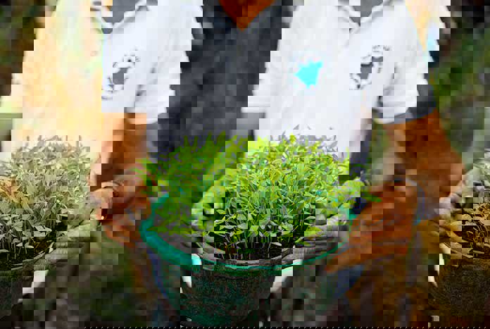 A man from Nicaragua holding a bucket of green seeds.