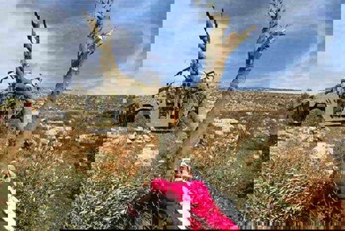 A Palestinian farmer protects an olive tree while the Israeli army looks on.