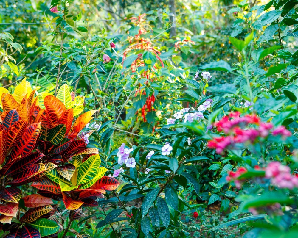 amos_trust_climate_justice_amos_gardening_club_carousel.jpg