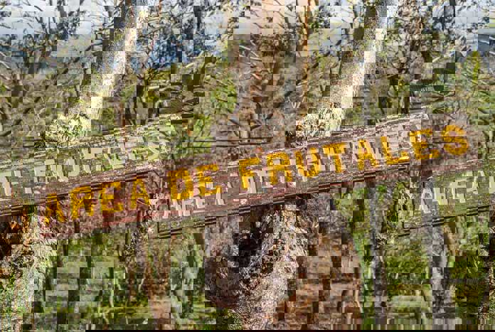 'Area De Frutales' – a sign in rural Nicaragua