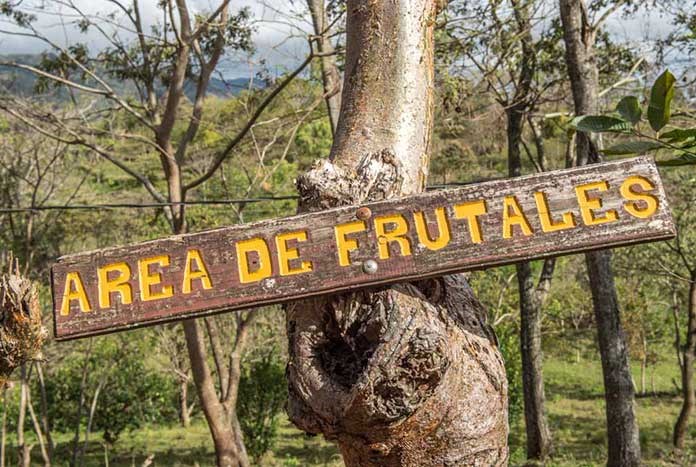 'Area De Frutales' – a sign in rural Nicaragua