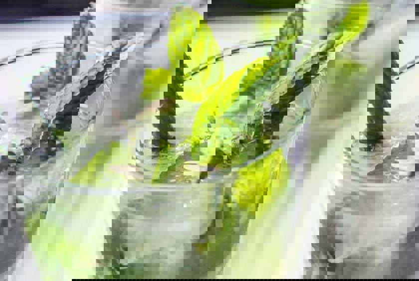 First of the Month | July 2021