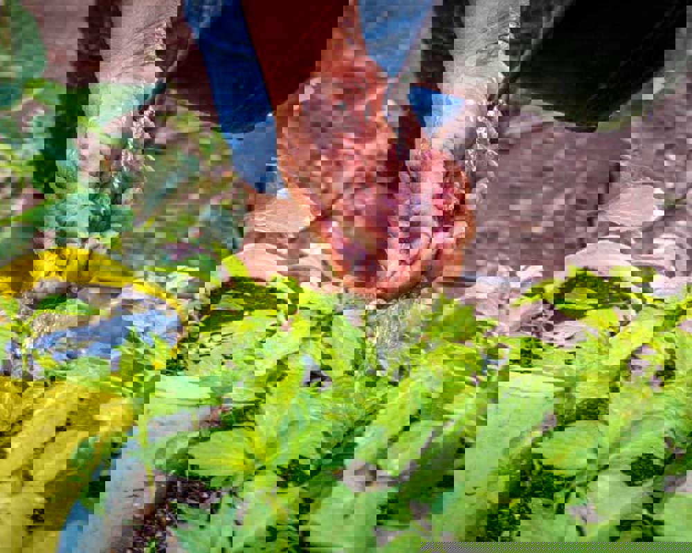 amos_trust_climate_justice_climate_actions_thumbnail.jpg