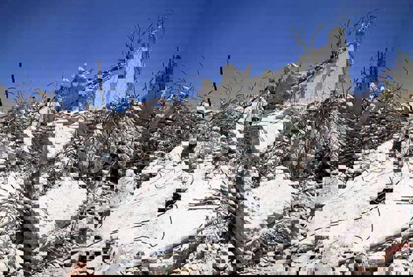 Rebuilding Hope 2024 — Participant Information