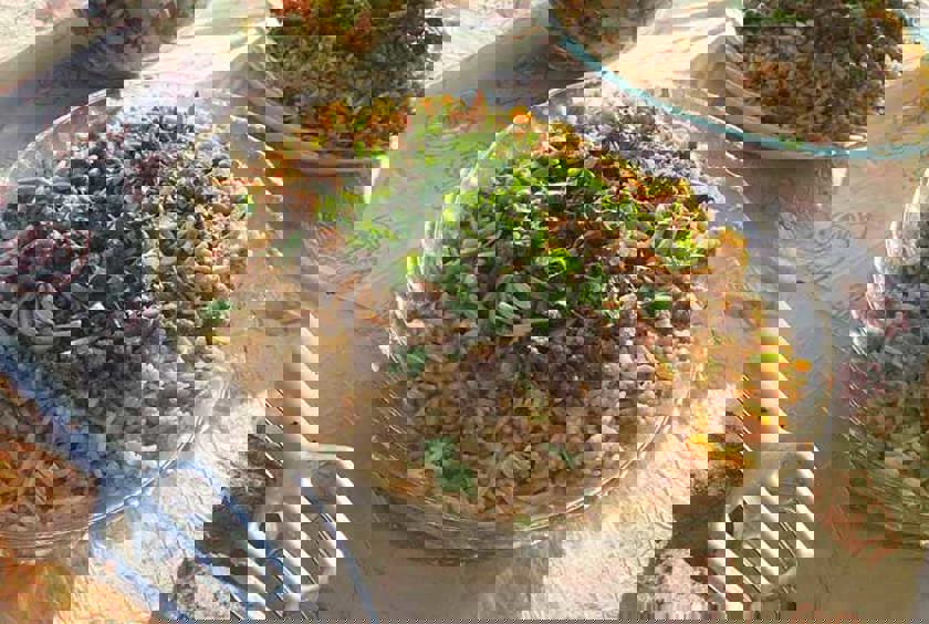 Taste of Palestine 2024 - Participant Information