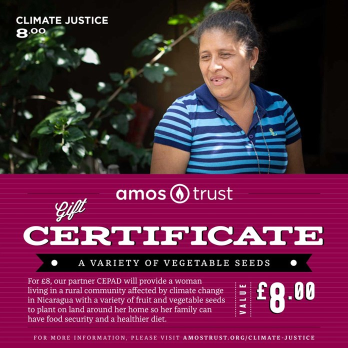 A Gift Certificate from Amos Trust.