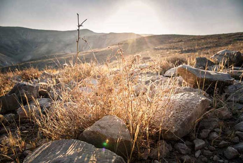 Words of Hope Online