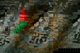 Long Live Palestine