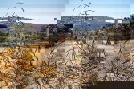 B’Tselem press release