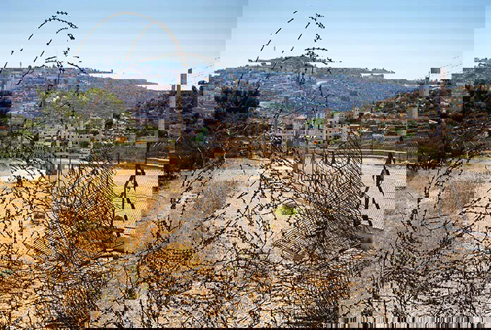 B’Tselem press release