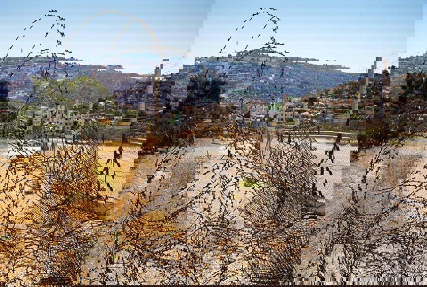 B’Tselem press release