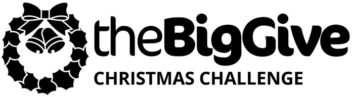 The Big Give Christmas Challenge logo