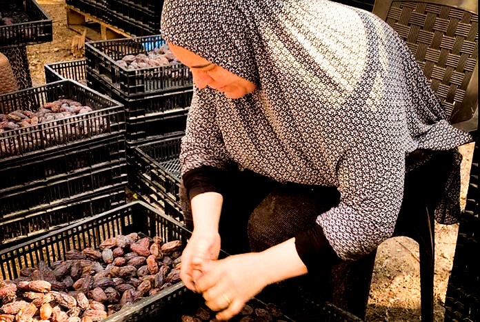 A Palestinian women selling dates at the market.