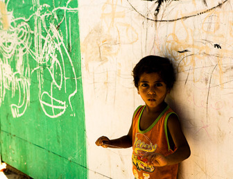 Gaza Emergency Appeal Update