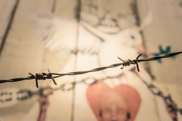 An Unlawful Presence